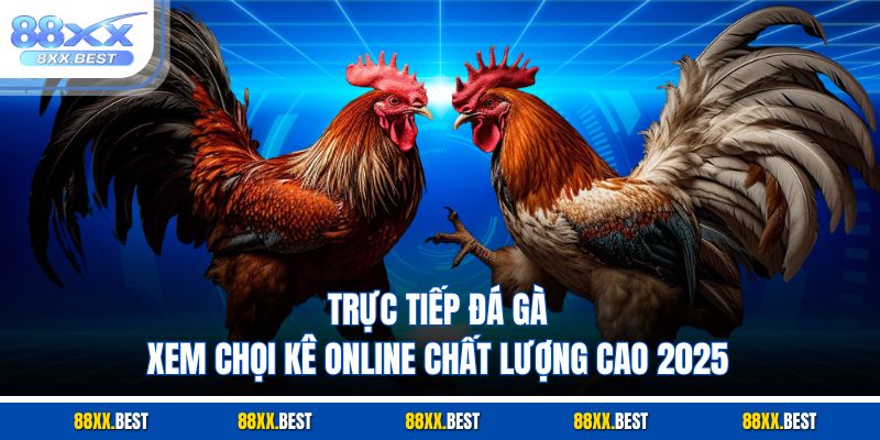 Trực Tiếp Đá Gà – Xem Chọi Kê Online Chất Lượng Cao 2025